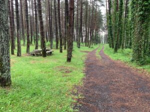 Camino Primitivo Stage 8 – A Fonsagrada to O Cadavo