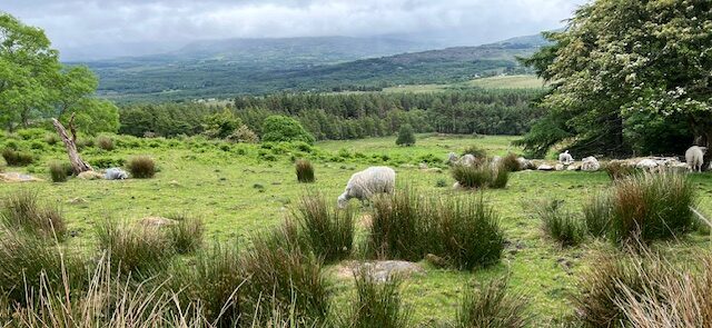The Kerry Way – Day 3